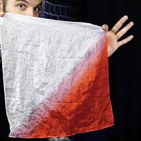 Cromo Project by Gonzalo Albiñana and Crazy Jokers - Trick