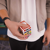 Vanishing Point (Gimmicks and Online Instructions) by William Tyrrell - Trick