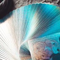 Holographic Naughty Dog and Liquid Cat Set Playing Cards by 808 Magic and Bacon Playing Card