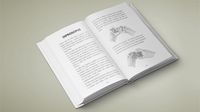 Multitude by Vincent Hedan - Book
