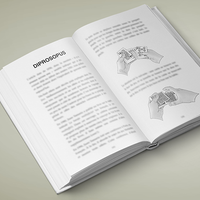 Multitude by Vincent Hedan - Book