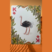 Bicycle Balloon Desert Playing Cards