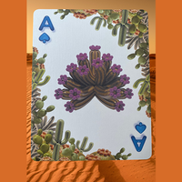 Bicycle Balloon Desert (Stripper) Playing Cards