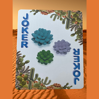 Bicycle Balloon Desert (Stripper) Playing Cards