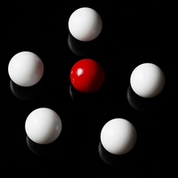 Smart Scale Kurotsuke Set by Pitata Magic - Trick