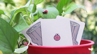 Lucky Ladybug (Gimmicks and Online Instructions) by Joshua Ray & Deuce Gala Magic
