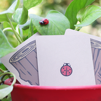Lucky Ladybug (Gimmicks and Online Instructions) by Joshua Ray & Deuce Gala Magic