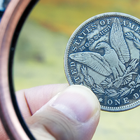 LCC (Black) by N2G - Trick