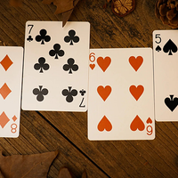 Forest elf Badger Playing Cards