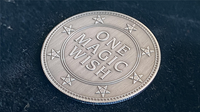 Magic Wishing Coins Antique Silver (12 Coins) by Alan Wong - Trick
