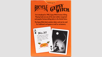 Gypsy Witch Fortune Telling Playing Cards
