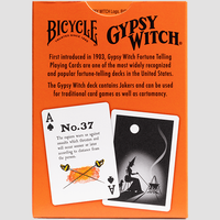 Gypsy Witch Fortune Telling Playing Cards