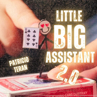 The Vault - Little Big Assistant 2 by Patricio Teran video DOWNLOAD
