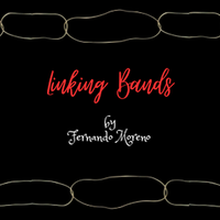 Linking Bands by Fernando Moreno