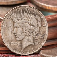 Mini Peace Dollar (Pack of 5 coins) by N2G