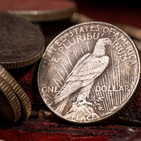 Mini Peace Dollar (Pack of 5 coins) by N2G