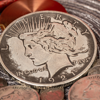 Jumbo Peace Dollar by N2G