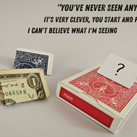 FROGGY 2.0 (BLUE) by Erick White