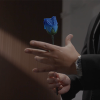 Eternal Rose by Bond Lee