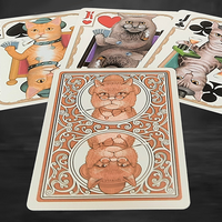 Bicycle Poker Cats V2  Playing Cards