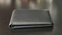 The Parallel Wallet by Paul Carnazzo
