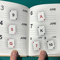 LS Diary by Leo Smetsers