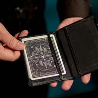 Mind Entanglement by Hank and Joseph Lee