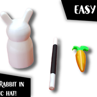 The Rabbit In the Hat by Creativity Lab