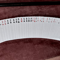 NYX Velvet by Luca Volpe