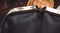 Professional Coin Purse by Amor Magic
