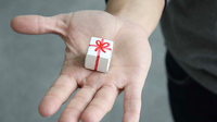 The White Box by Thinking Paradox
