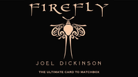 Firefly by Joel Dickinson
