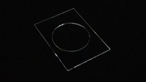 Carat CI1 Single Deck Coin Insert 51 diameter