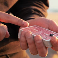 The FLY LITE by Marcos Waldemar & Invisible Compass