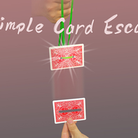 Simple Card Escape by Dingding video DOWNLOAD