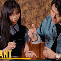 Key Shell Set by Bond Lee, Wenzi, & MS Magic