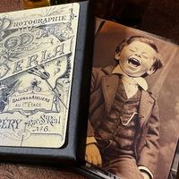 The Curious Case Of Amanda Cole by Dead Rebel Productions