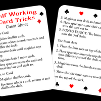 Self Starter by Paul Carnazzo