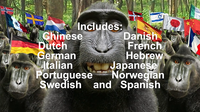 100th Monkey Multi-Language by Chris Philpott
