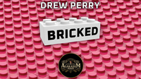 Bricked by Drew Perry
