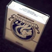 Transparent Protector Decks (100 Pack)