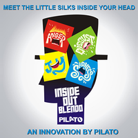 Inside Out Blendo by Pilato