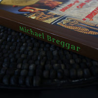 Raiders of the Lost Card by Michael Breggar