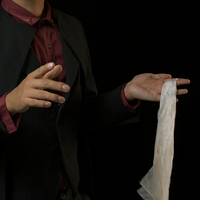 Amoeba Ball by MENZI MAGIC & ZHAO XINYI