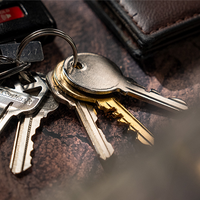 Prophekey by Paul Fowler