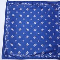 Snow Bandana by Lee Alex