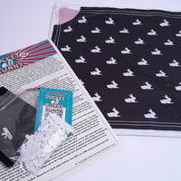 Pocket Bunny by Lee Alex