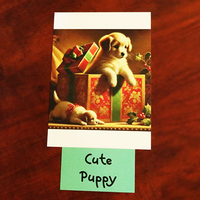 Predicto (Holiday) by Jonathan Sadowski