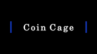 Coin Cage (Silver) by Paul Carnazzo
