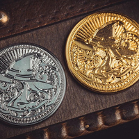 Enchanted Collector's Playing Cards Set by King Star